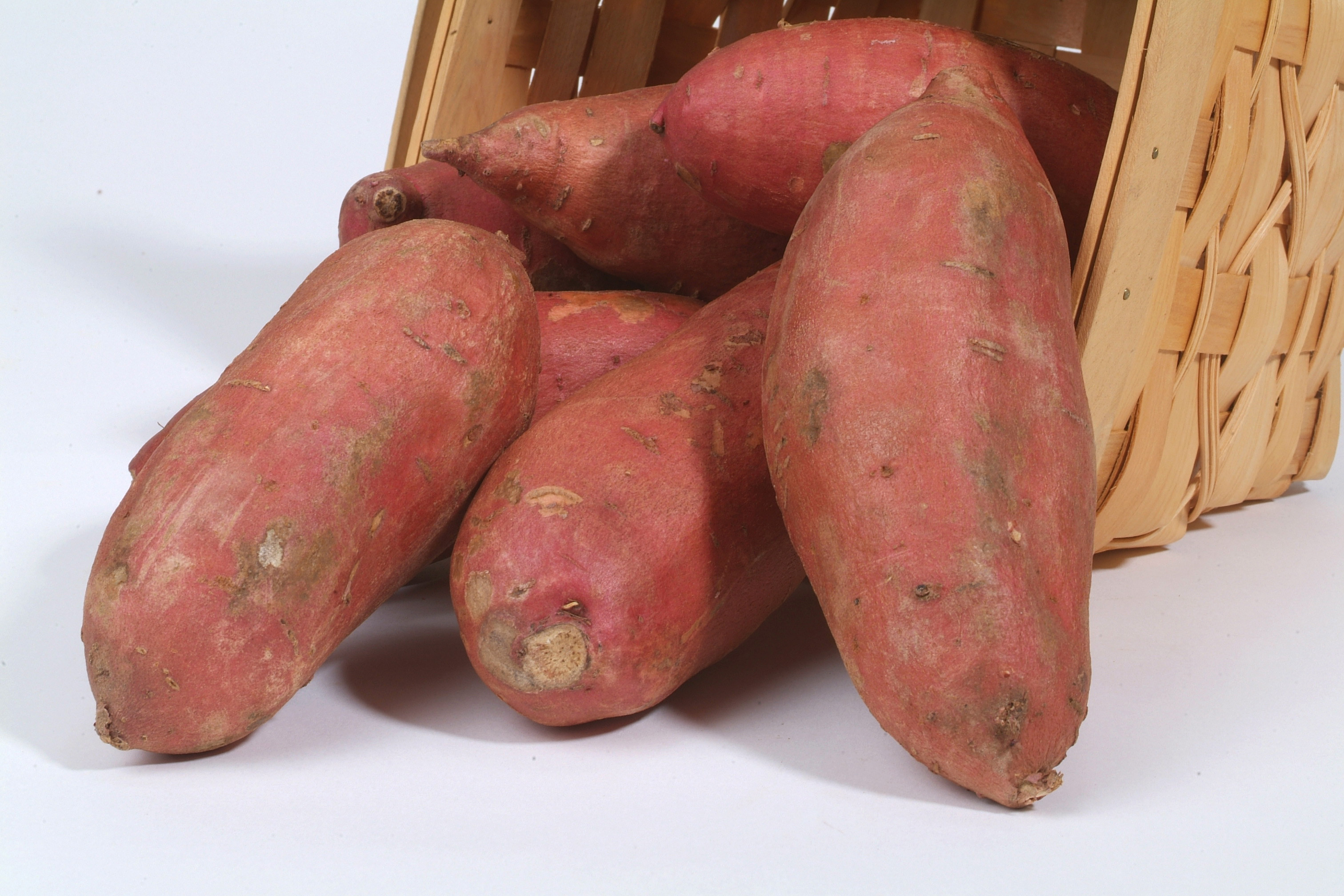 Sweet Potato Varieties
 Sweet Potato Variety Descriptions