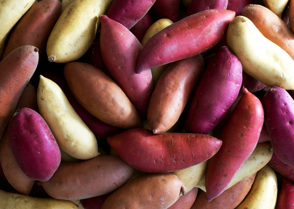 Sweet Potato Varieties
 e super food — California Sweetpotatoes