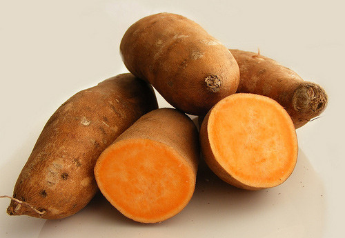 Sweet Potato Yam
 Sweet Potatoes Sweet Potato Yams Wild Yams…What’s the