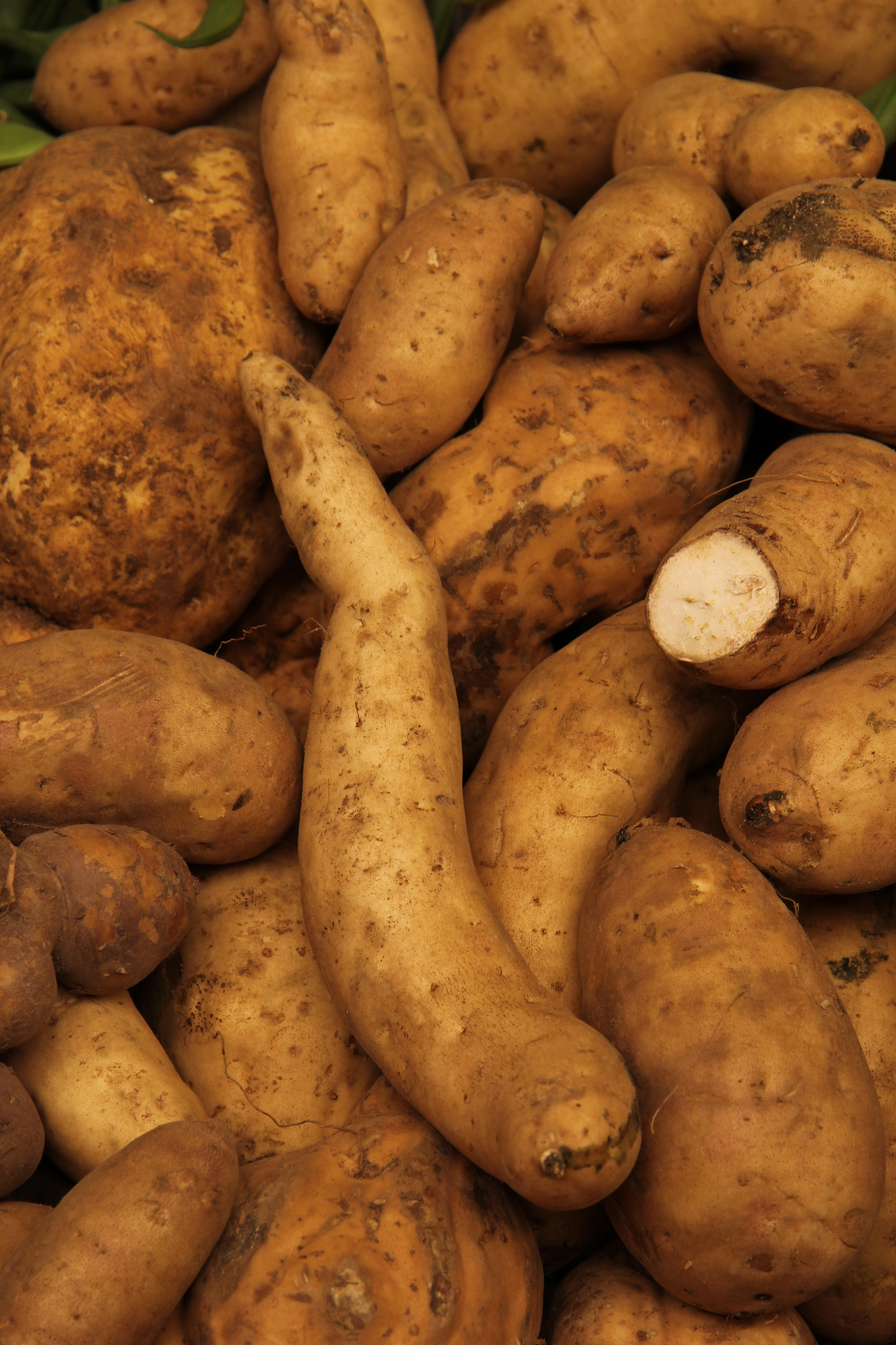 Sweet Potato Yam
 Yams and Sweet Potatoes for Thanksgiving Delicious Food