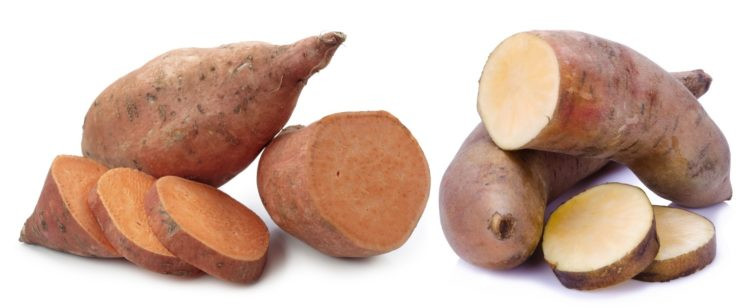 Sweet Potato Yam
 The Difference Between Yams and Sweet Potatoes