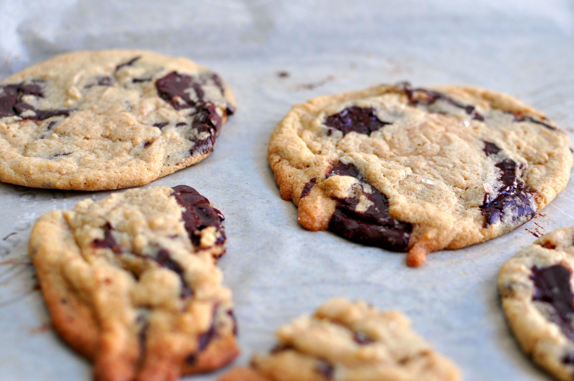 Tahini Chocolate Chip Cookies
 Tahini Chocolate Chip Cookies Recipe