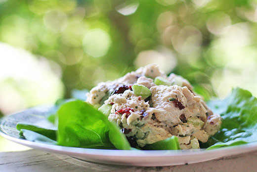 Tarragon Chicken Salad
 Chicken Salad with Tarragon photo