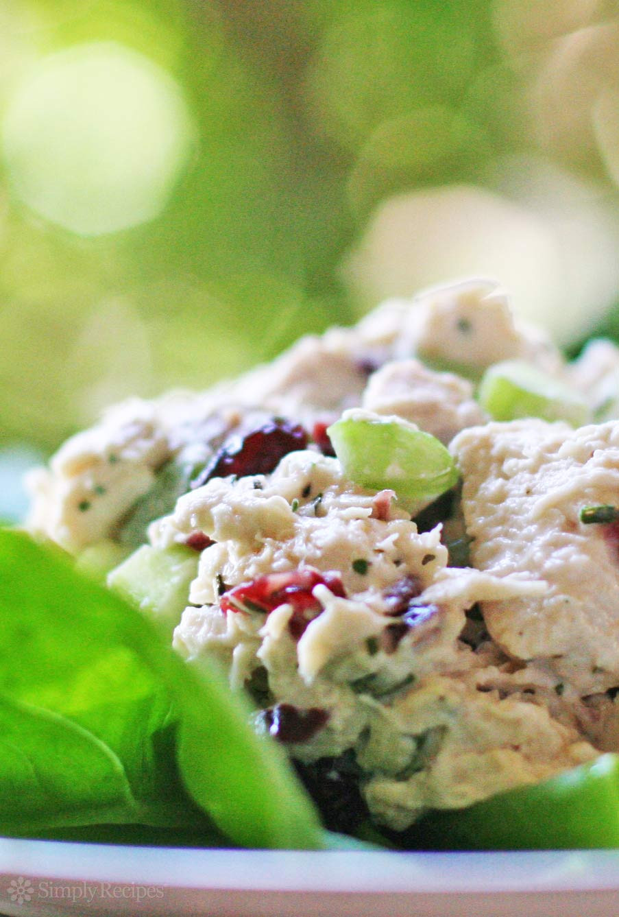 Tarragon Chicken Salad
 Tarragon Chicken Salad Recipe