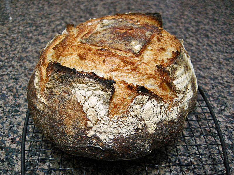 Tartine Bread Recipe
 TARTINE BREAD BASIC COUNTRY LOAF