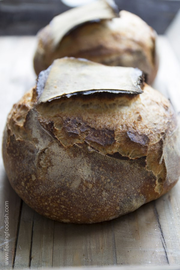 Tartine Bread Recipe
 tartine bread
