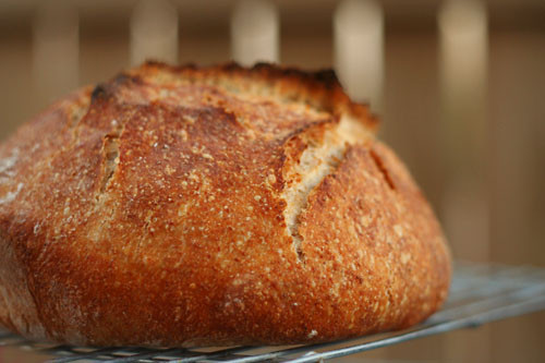 Tartine Bread Recipe
 tartine country bread