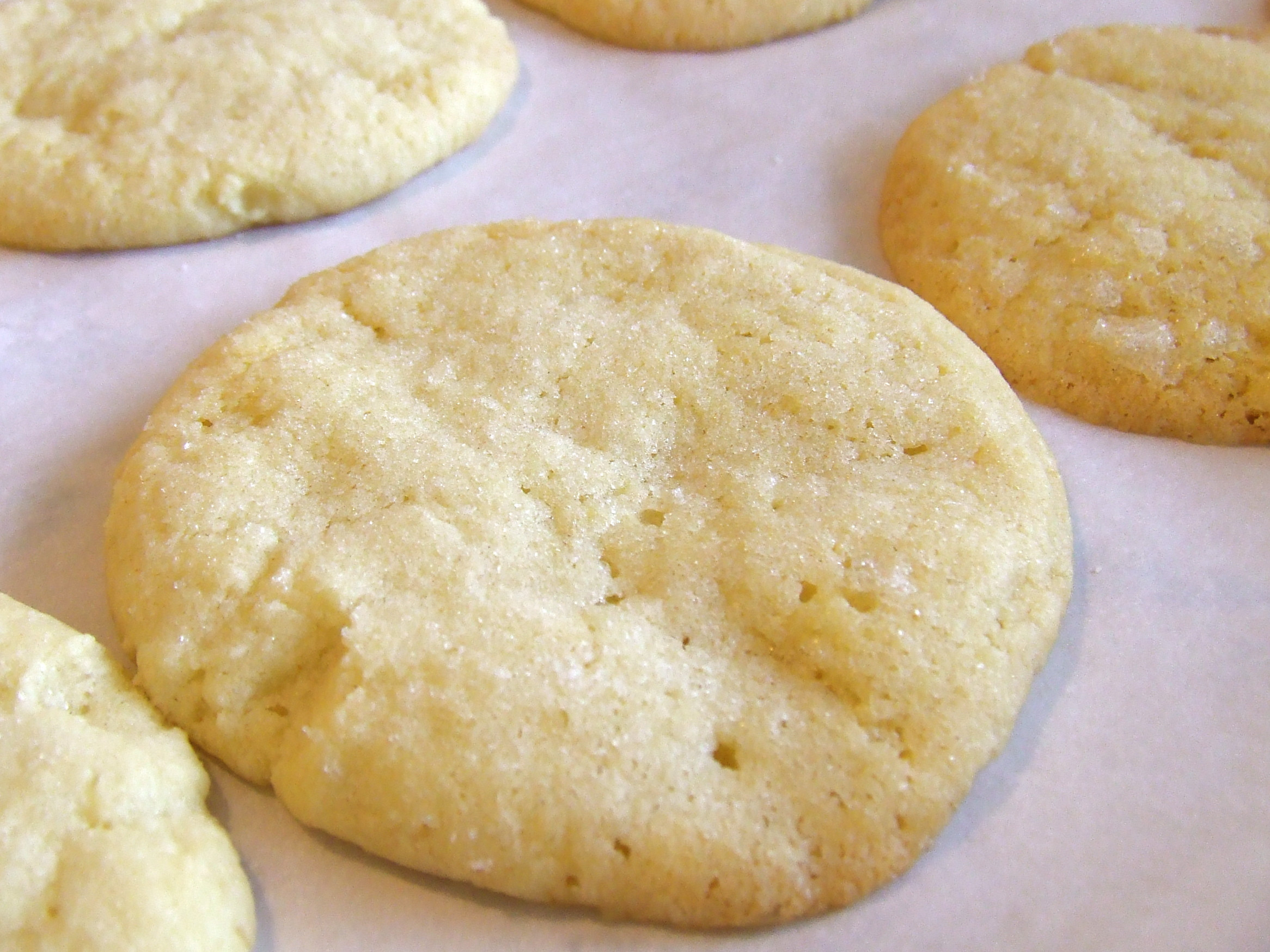 Tasty Sugar Cookies
 Texas Sugar Cookies