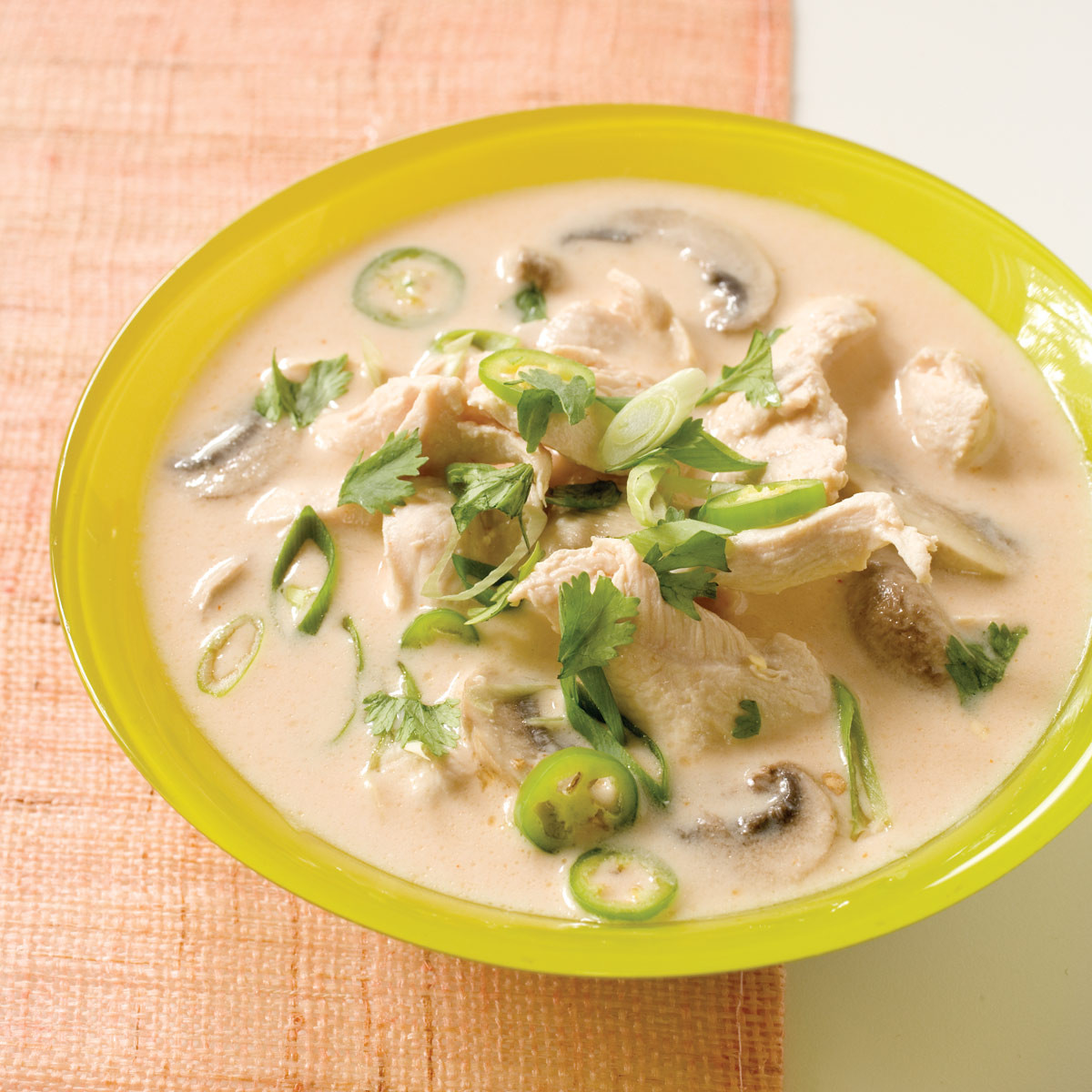 Thai Chicken Soup Recipe
 jf07 thaichickensoup article