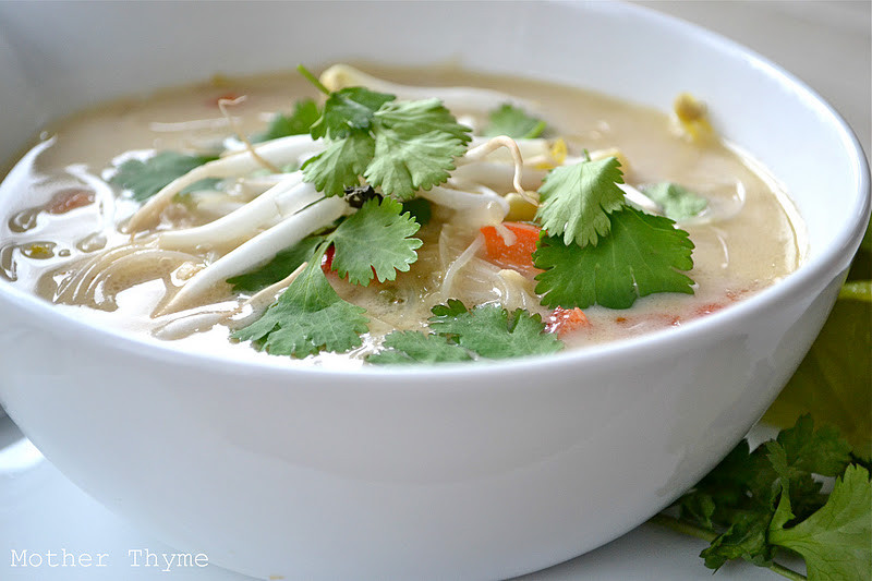 Thai Chicken Soup Recipe
 Slow Cooker Thai Chicken Noodle Soup