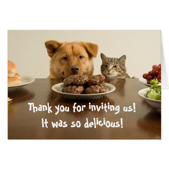 Thank You For Dinner
 Funny dog and cat thank you for the dinner card