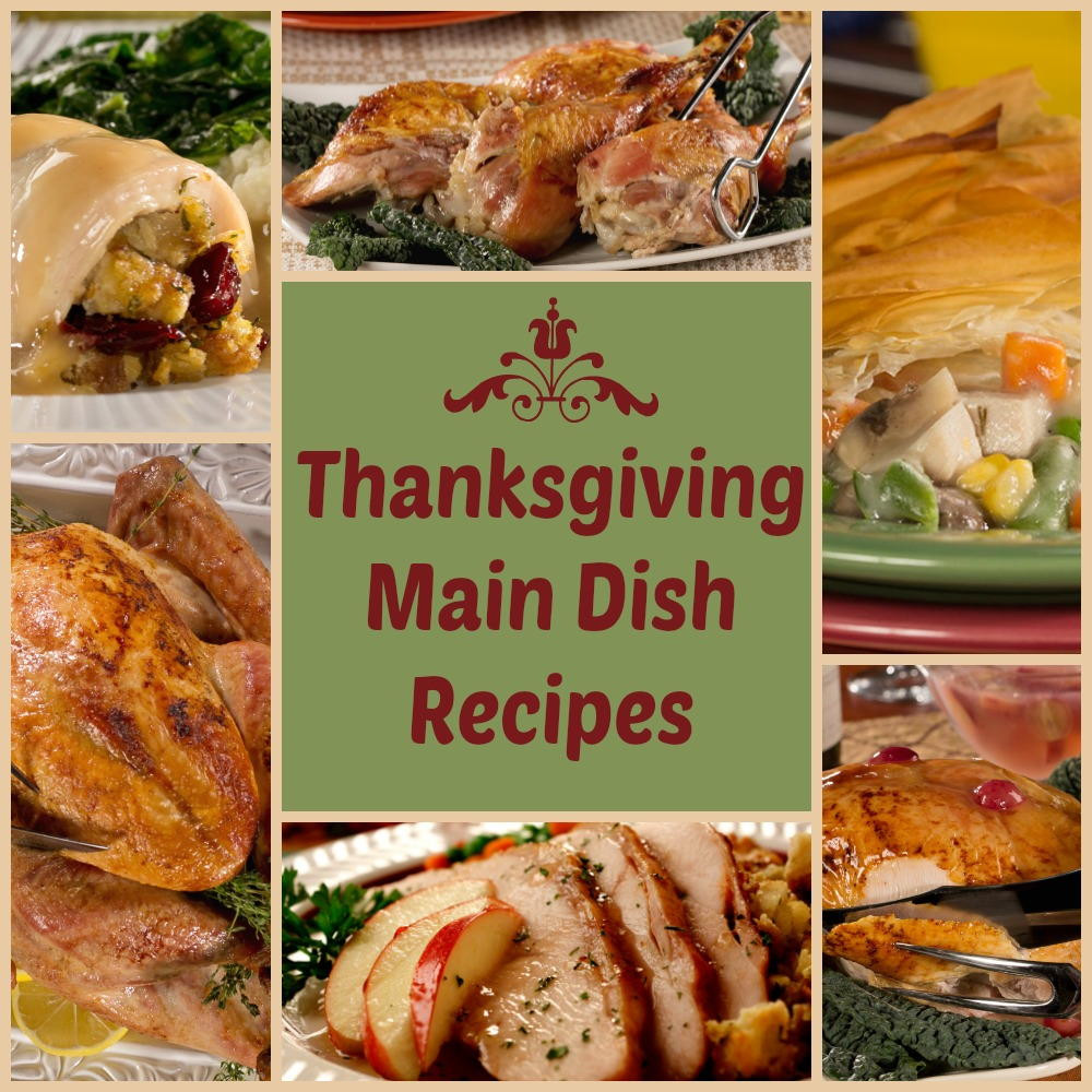 Thanksgiving Main Dishes
 Thanksgiving Main Dishes Recipes 6 Delicious Diabetic