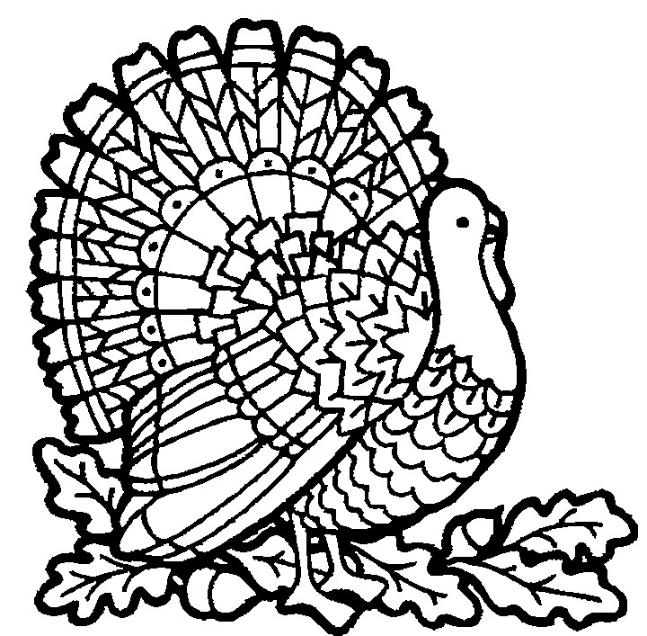 Thanksgiving Turkey Coloring Pages
 Thanksgiving Turkey Coloring Pages to Print for Kids