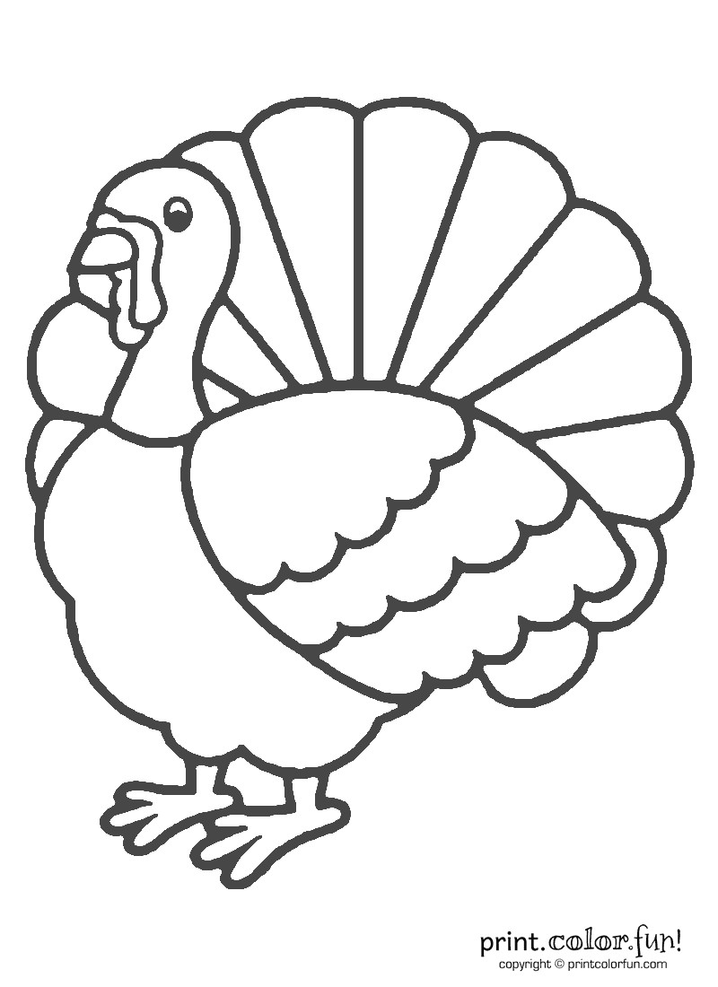 Thanksgiving Turkey Coloring Pages
 Thanksgiving turkey coloring coloring page Print Color