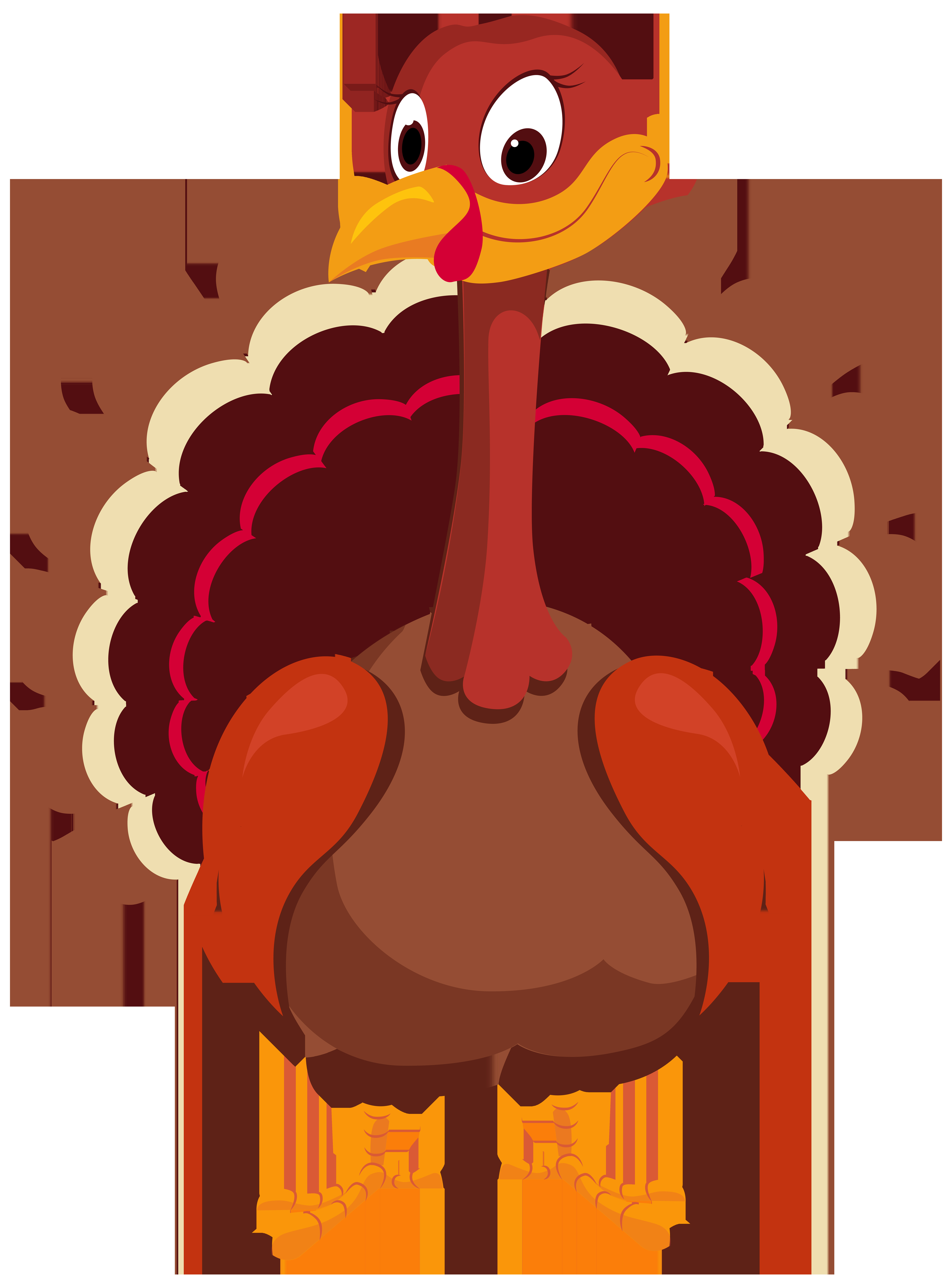 Thanksgiving Turkey Pictures
 Turkey PNG Clip Art Image