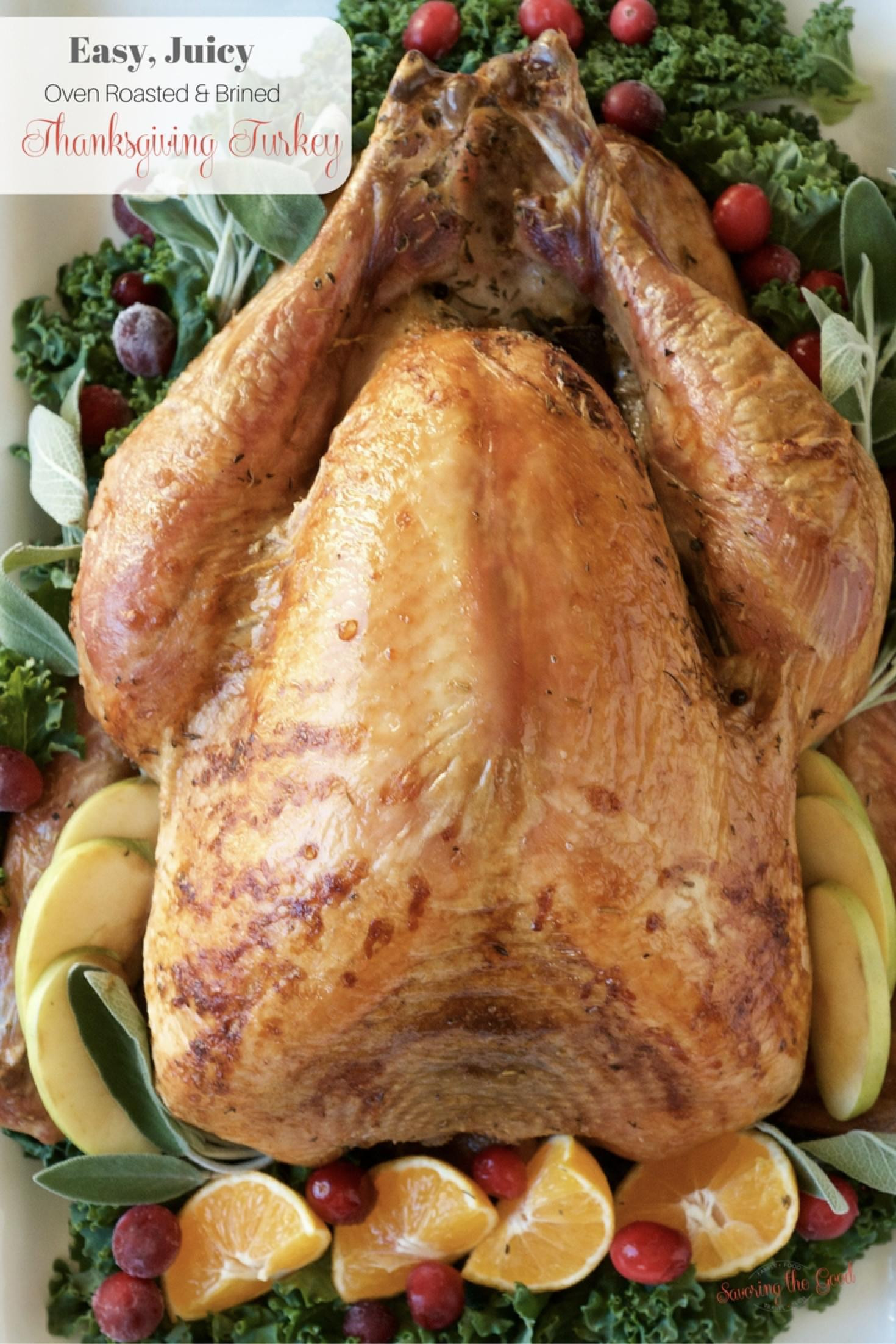Thanksgiving Turkey Recipes
 Easy Juicy Oven Roasted Brined Thanksgiving Turkey Recipe