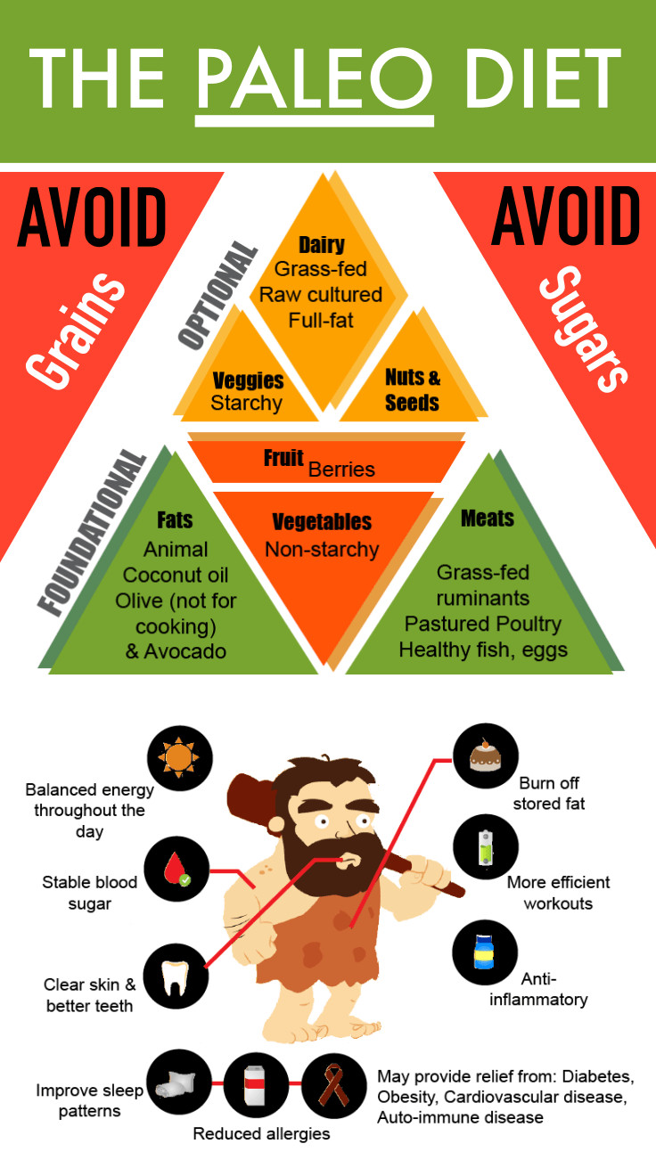 The Paleo Diet
 How To Lose Weight Following A Paleo Diet Plan Fitneass