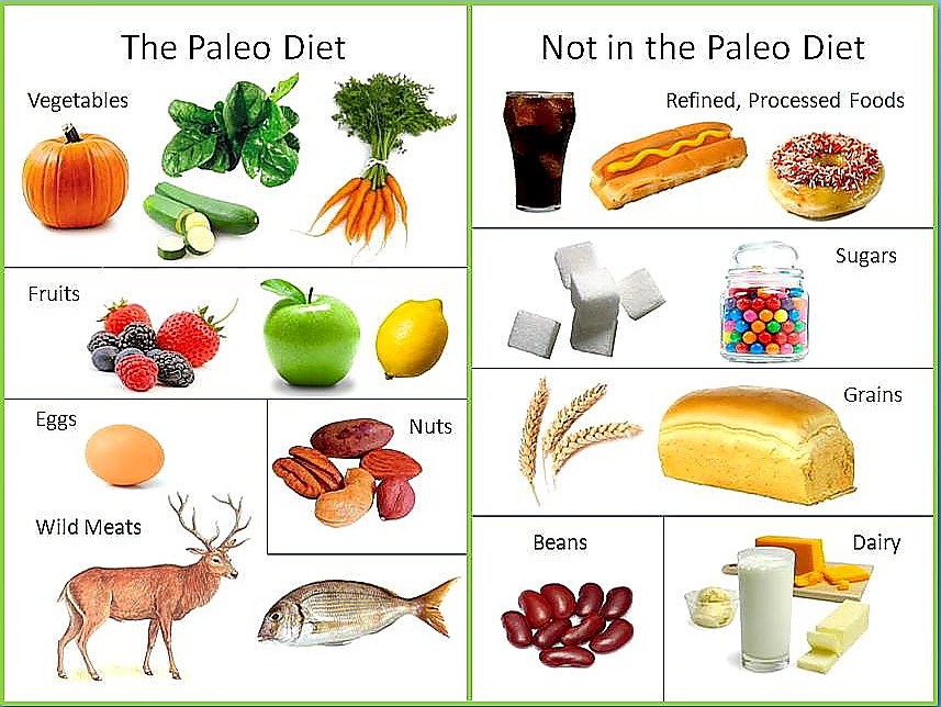 The Paleo Diet
 The Paleo Diet PositiveMed