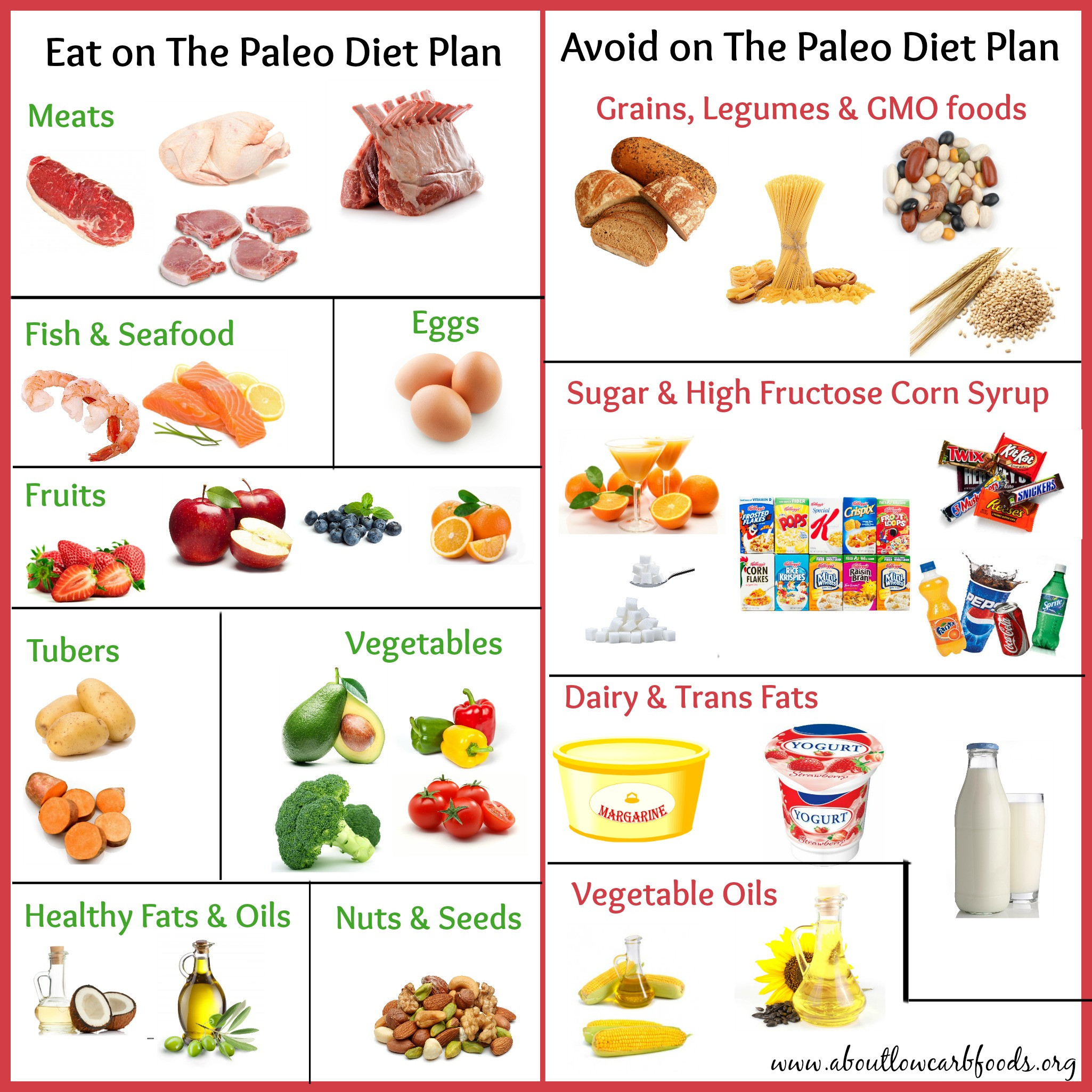 The Paleo Diet
 A Paleo Diet Plan That Can Save Your Life About Low Carb