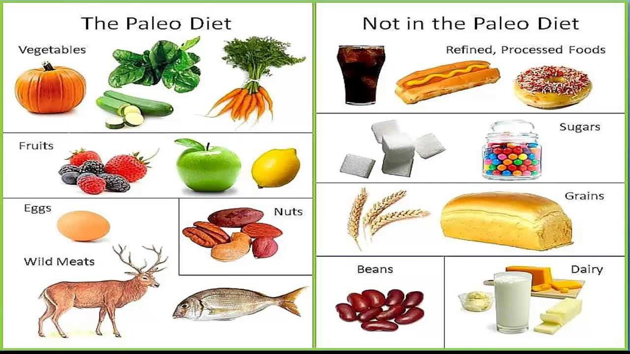 The Paleo Diet
 Paleo Diet what is it should you try it Level 9 Fitness