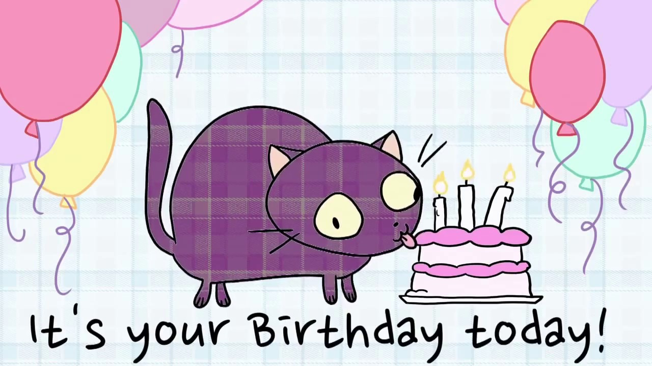 There'S A Cat Licking Your Birthday Cake
 There s A Cat Licking Your Birthday Cake