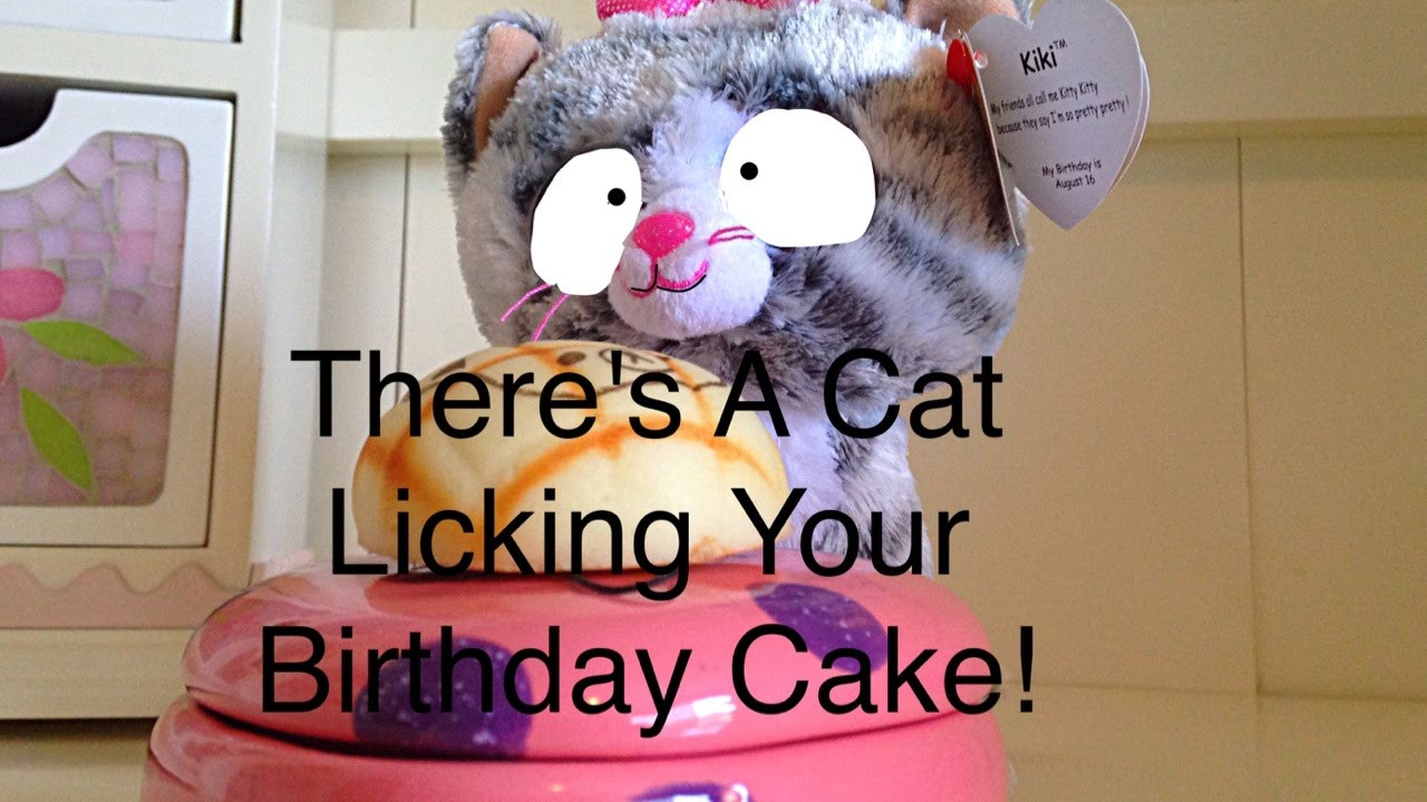 There'S A Cat Licking Your Birthday Cake
 Beanie Boos There s A Cat Licking Your Birthday Cake MV