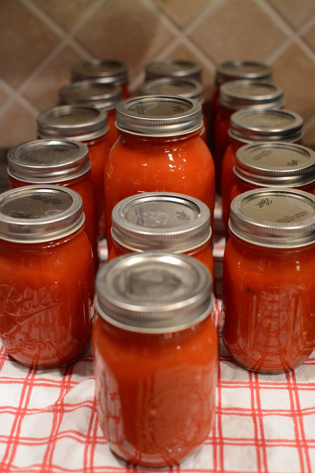 Tomato Basil Sauce
 canned tomato sauce with basil and garlic lb s good spoon