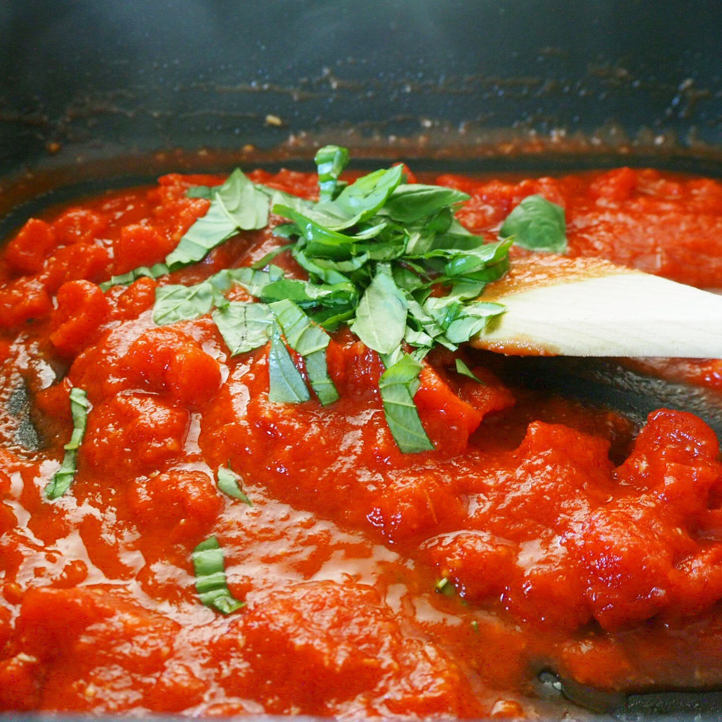Tomato Basil Sauce
 ricotta fritters w tomato basil sauce my lovely little