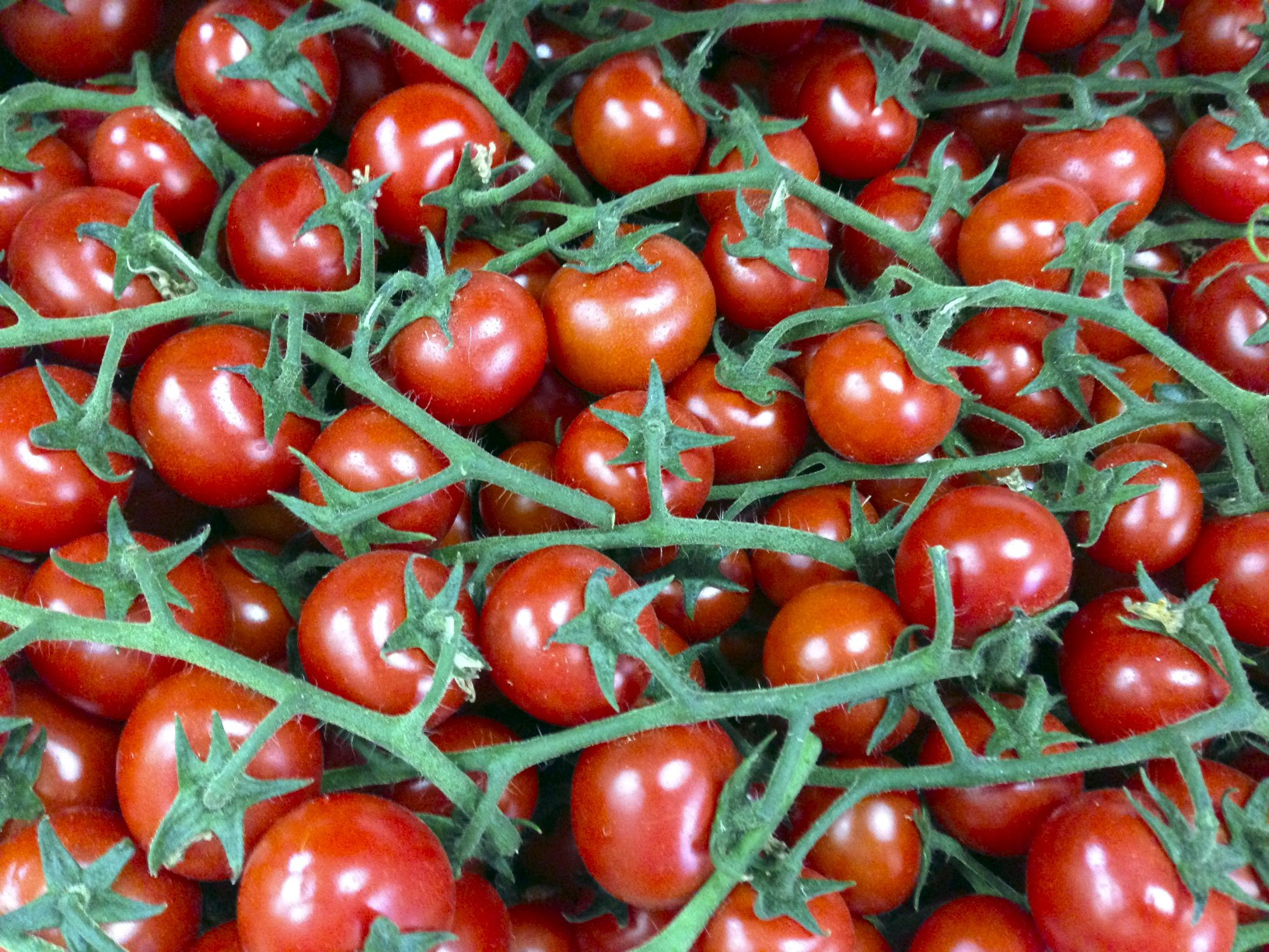 Tomato In Italian
 Tomatoes from Southern Italy Sorrento Food Tours
