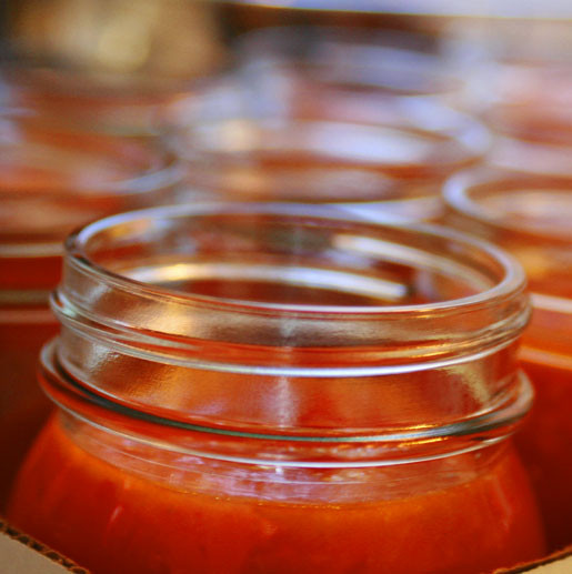 Tomato Sauce Canning Recipe
 Crock Pot Tomato Sauce with Fresh Tomatoes