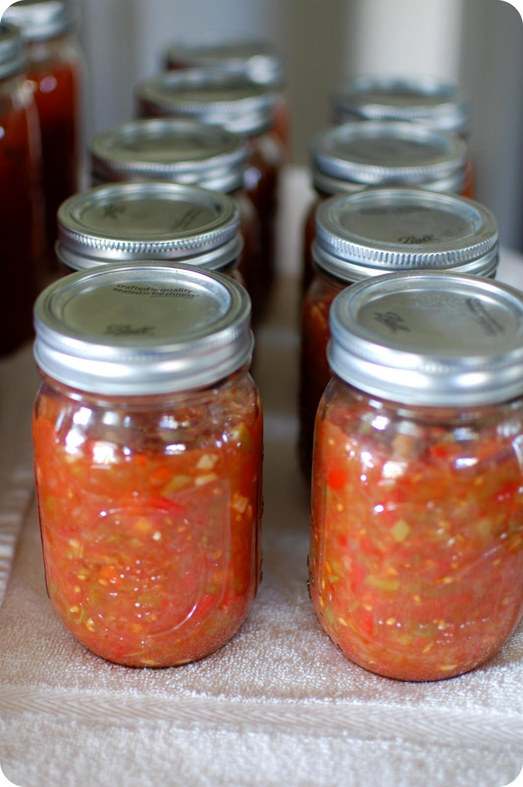 Tomato Sauce Canning Recipe
 33 Shades of Green Canning Salsa and Tomato Sauce