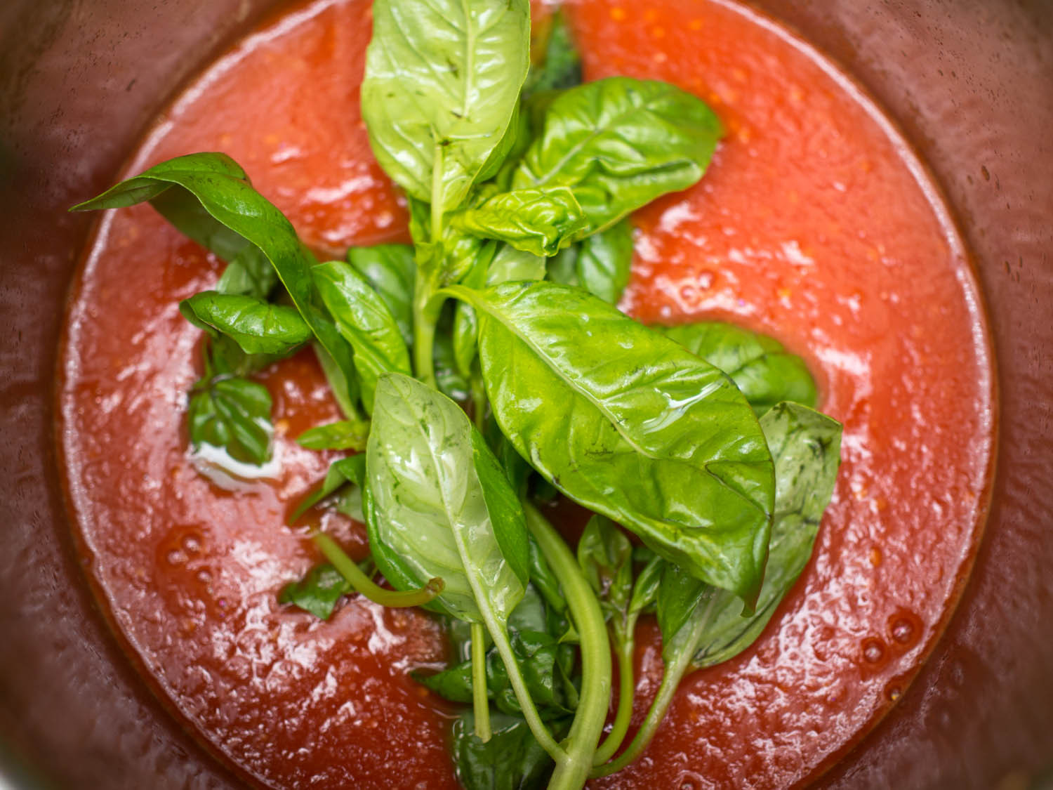 Tomato Sauce Recipe
 The Best Fresh Tomato Sauce Recipe