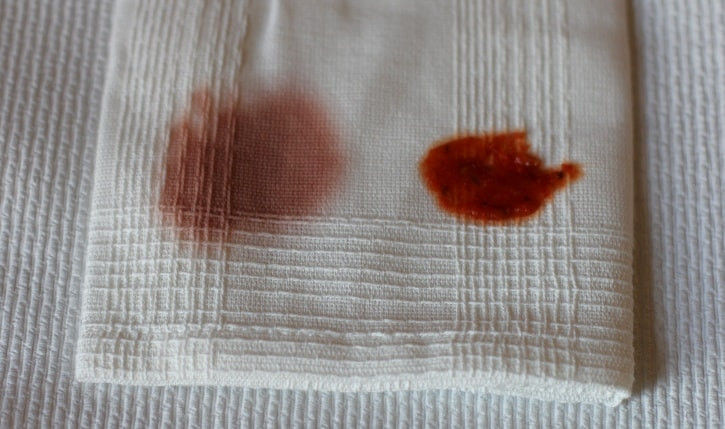 Tomato Sauce Stain
 The Italian Dinner Stain Challenge Mom Foo