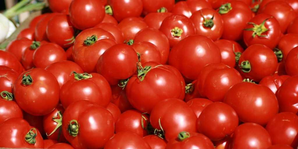 Tomato Vegetable Or Fruit
 Supreme Court Tomato Is Ve able Business Insider