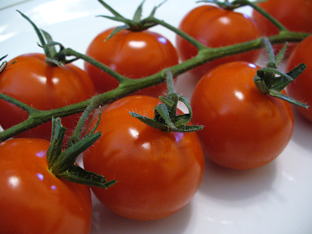 Tomato Vegetable Or Fruit
 Cherry Tomatoes Fruit or Ve able C P Storm