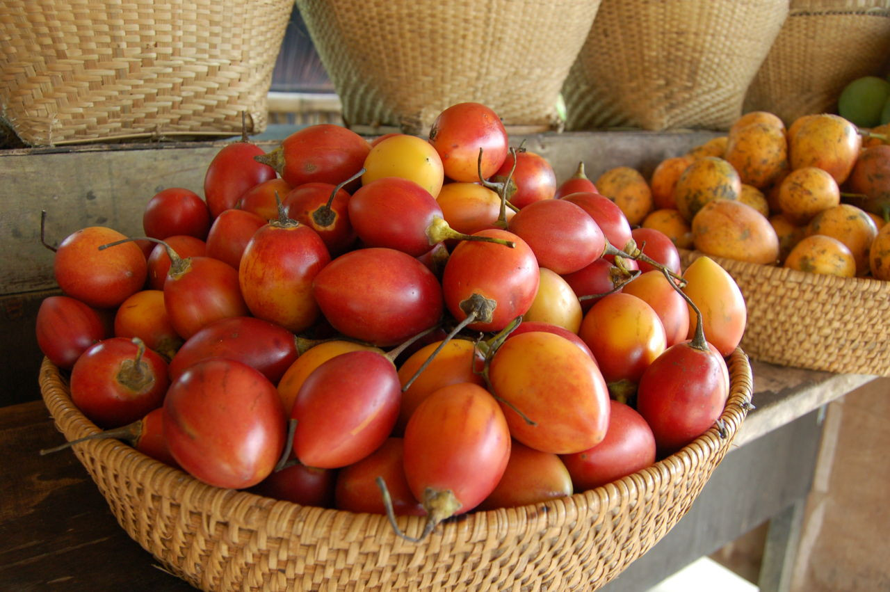 Tomato Vegetable Or Fruit
 Is Tomato a Fruit or Ve able We Bet You Didn t Know This