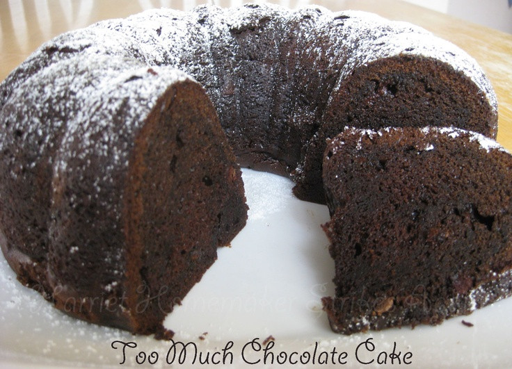 Too Much Chocolate Cake
 Too Much Chocolate Cake Recipe — Dishmaps