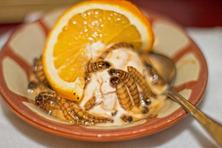 Top 10 Desserts In The World
 Check out the Weirdest Desserts in the World