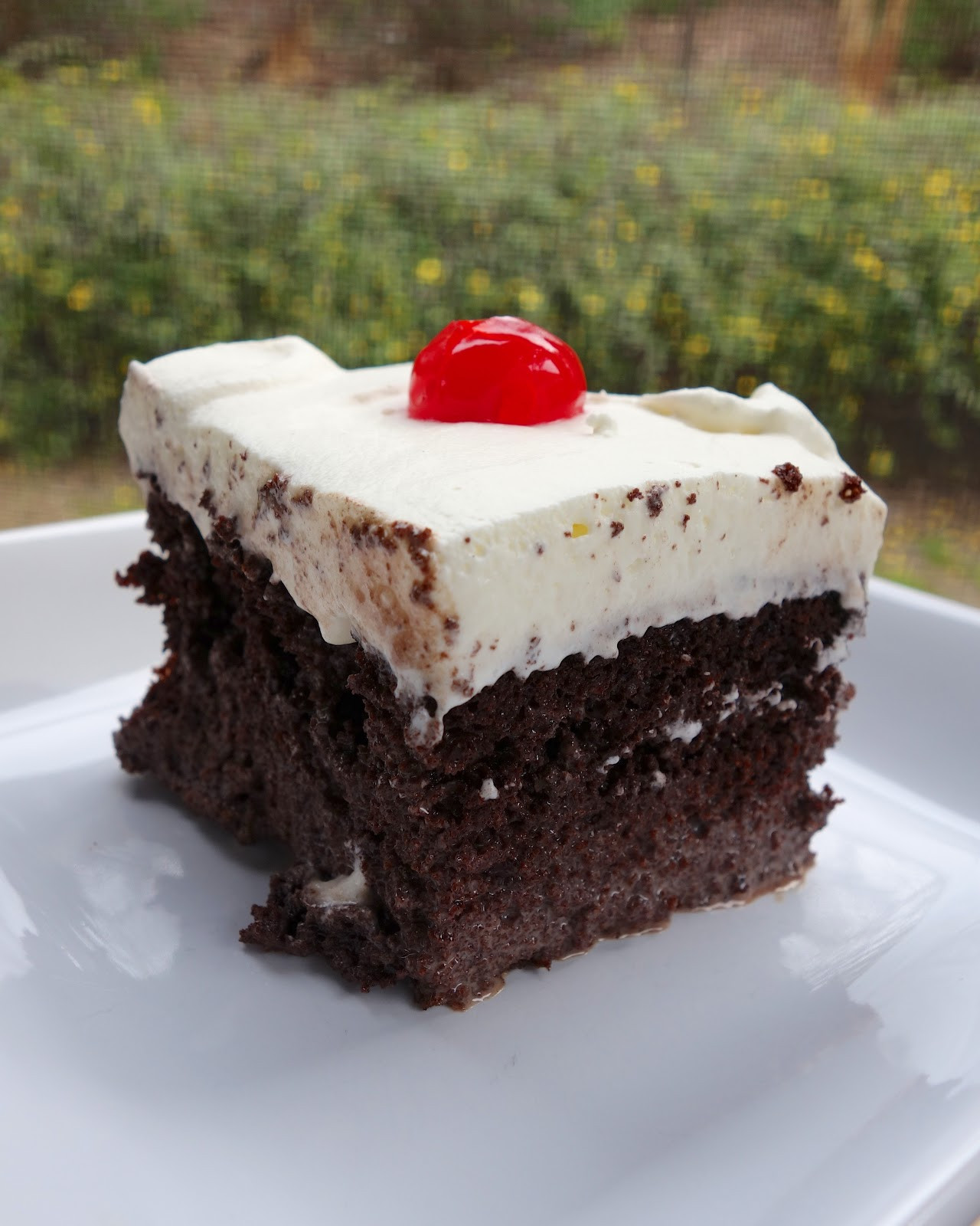 Tres Leches Cake Recipe
 Chocolate Tres Leches Cake Plain Chicken