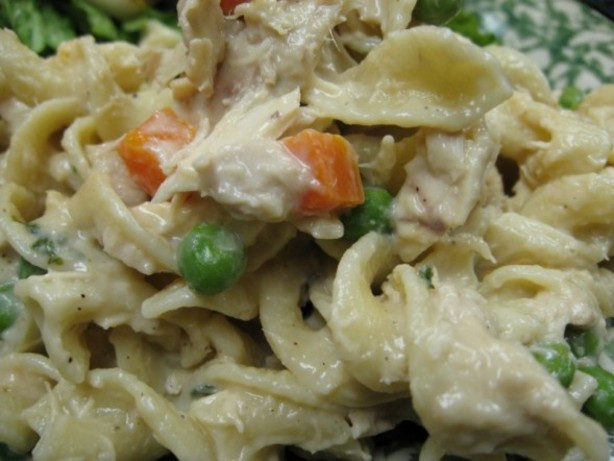 Tuna Noodle Casserole Recipe
 Quick And Easy Stove Top Tuna Noodle Casserole Recipe