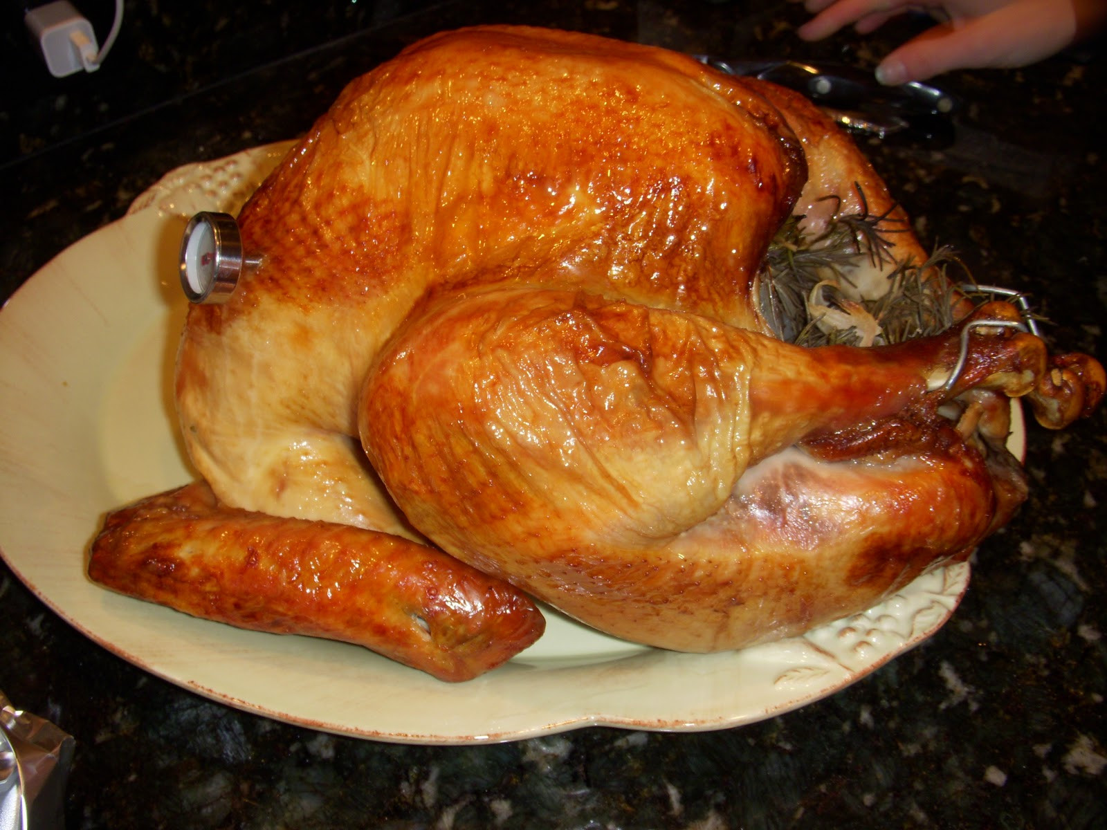 Turkey Brine Alton Brown
 Good Eats Roast Turkey – Dallas Duo Bakes