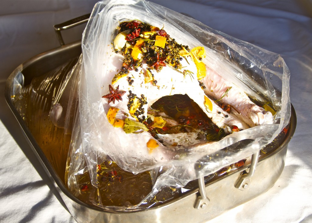 Turkey Brine Bag
 How to Roast a Brined Turkey Paleo Spirit