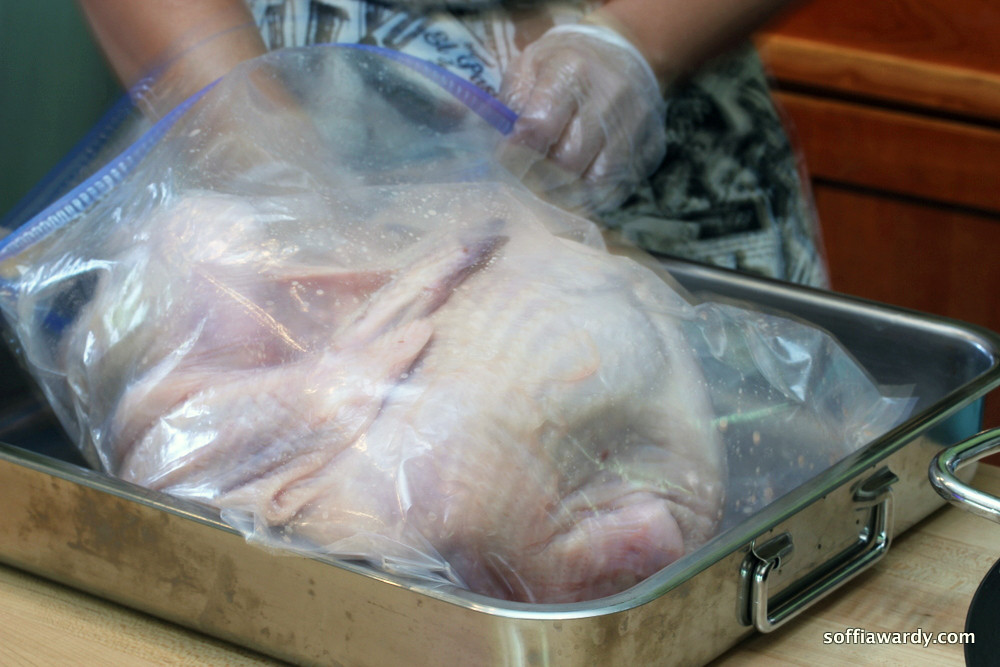 Turkey Brine Bag
 How To Spatchcock Butterfly and Brine Poultry