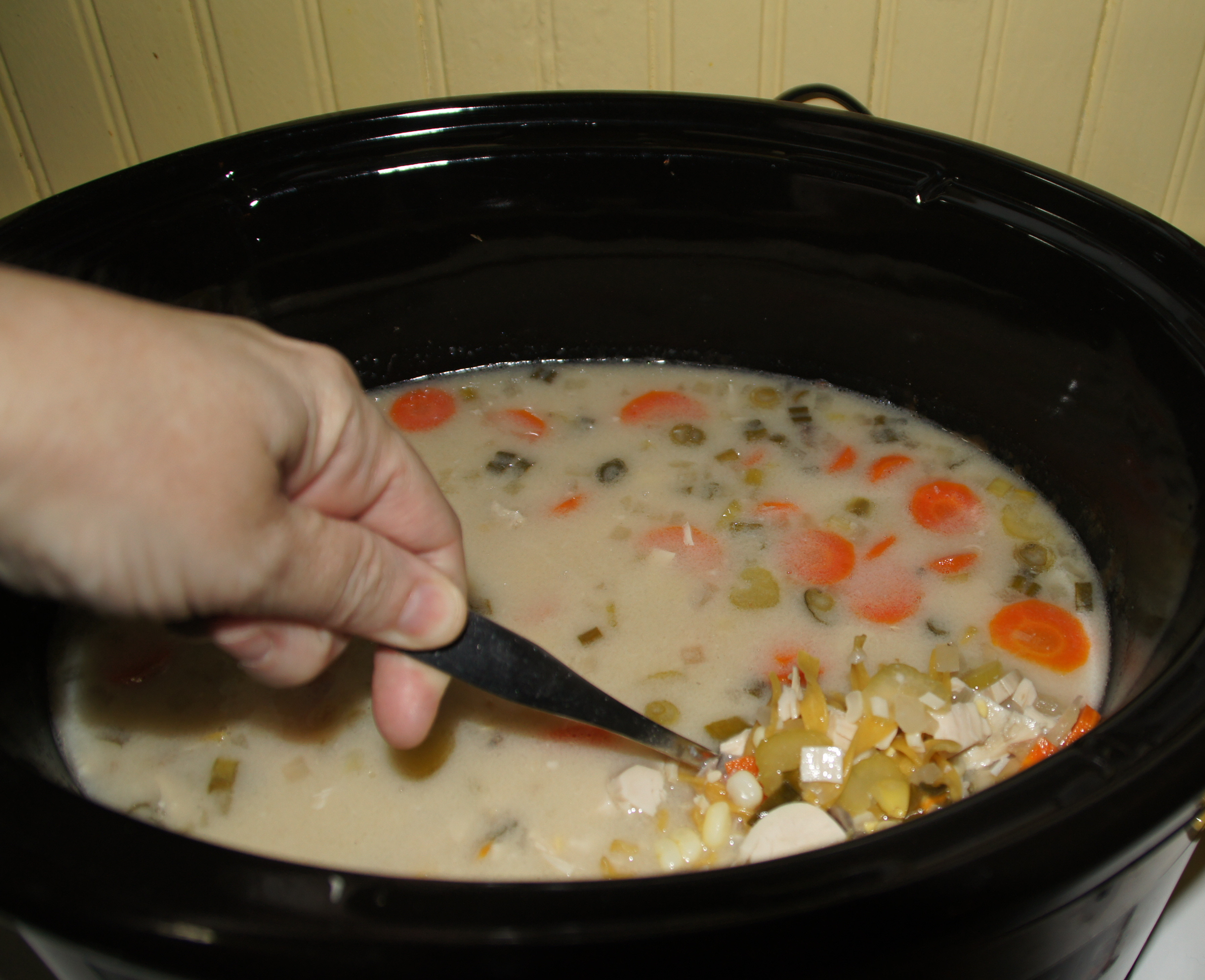 Turkey Soup Crock Pot
 Crock Pot Turkey and Noodle Soup