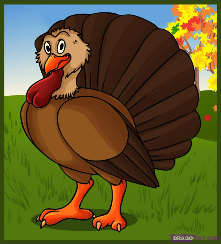 Turkey Thanksgiving Cartoon
 How to Draw a Cartoon Turkey Step by Step Cartoon