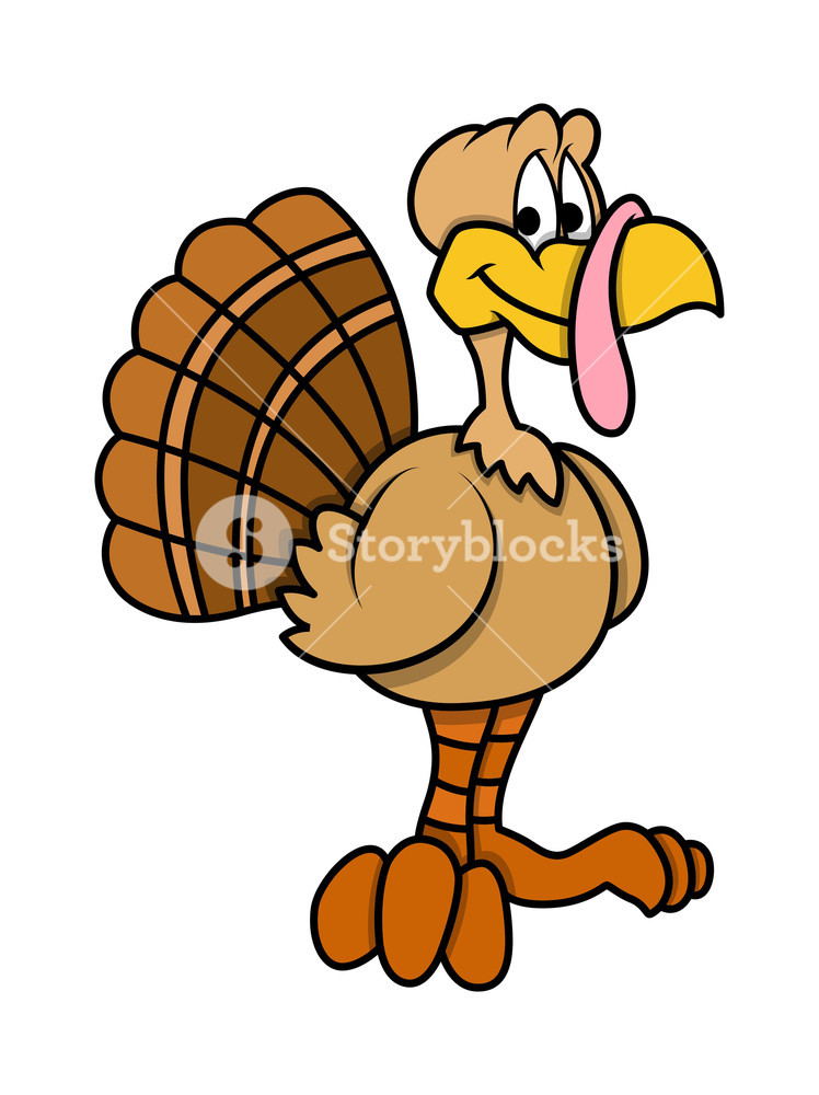 Turkey Thanksgiving Cartoon
 Cartoon Turkey Bird Royalty Free Stock Image Storyblocks