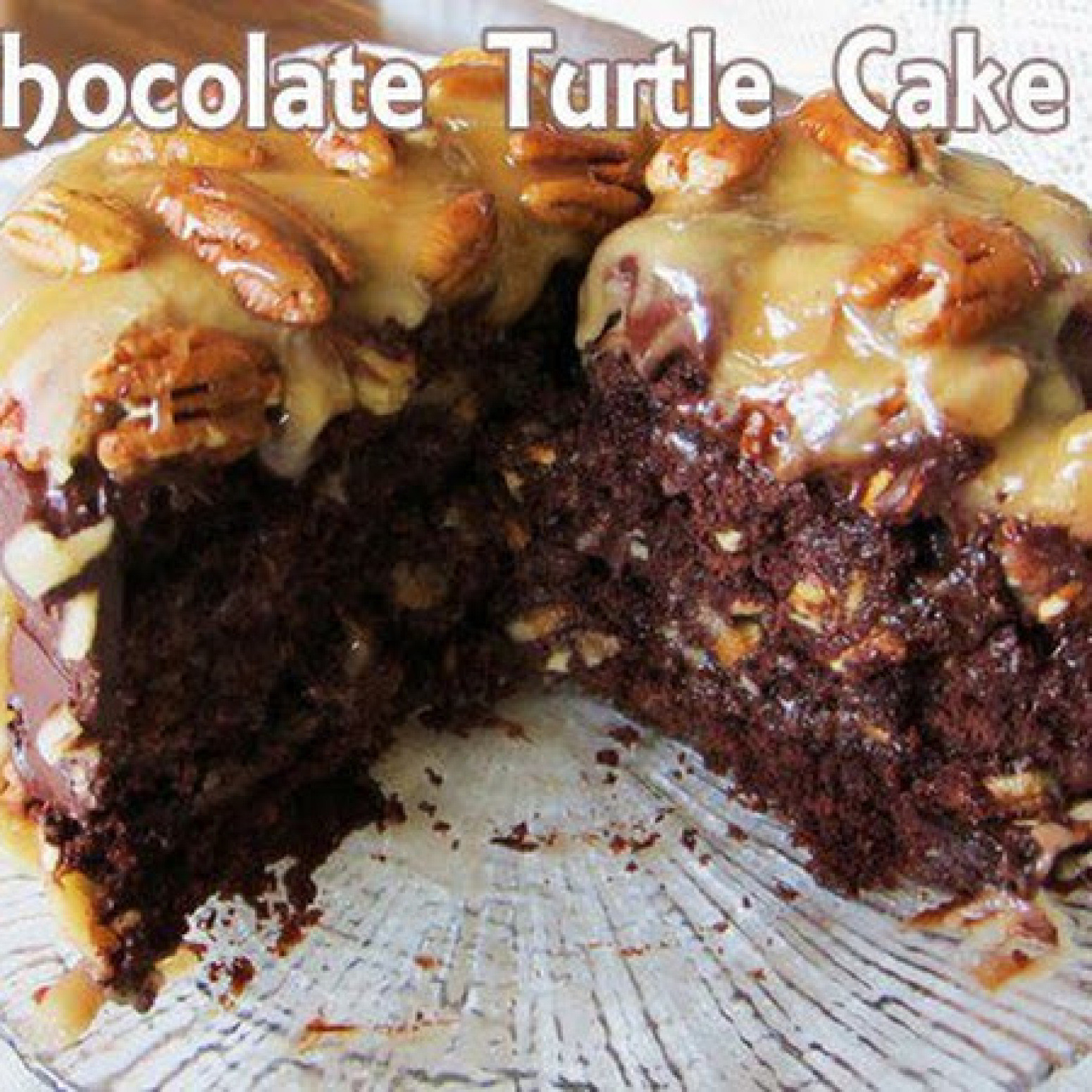 Turtle Cake Recipe
 Chocolate Turtle Cake Recipe 9