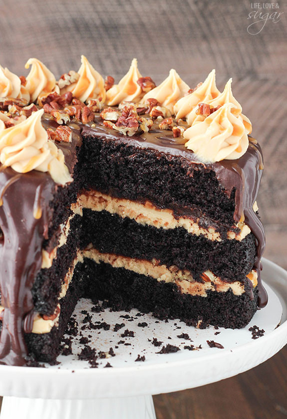 Turtle Cake Recipe
 Turtle Chocolate Layer Cake Life Love and Sugar