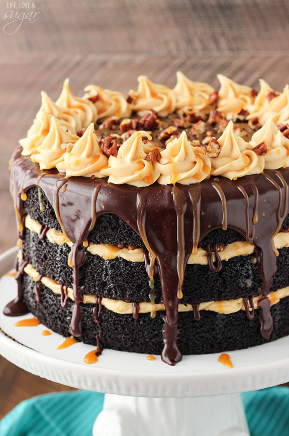Turtle Cake Recipe
 51 Best Chocolate Cake Recipes for 2016