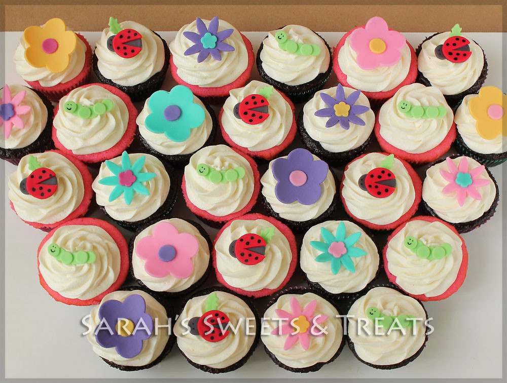 Types Of Cupcakes
 All Kinds Lady Bugs Cupcakes